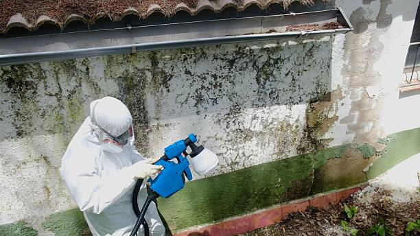 Trusted Mold Remediation service in Fishertown, PA - Cheap Mold Removal